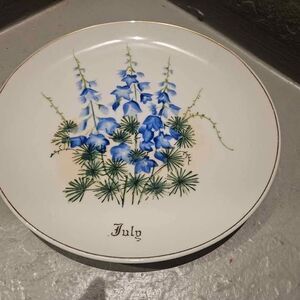 A K Kaiser W Germany Collector Plate Larkspur 8"
